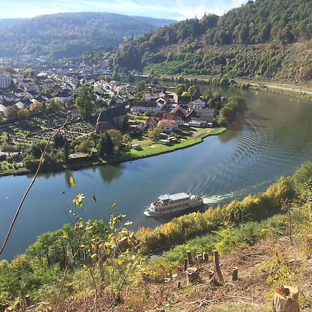 Romantisches Hirschhorn Am Neckar المظهر الخارجي الصورة
