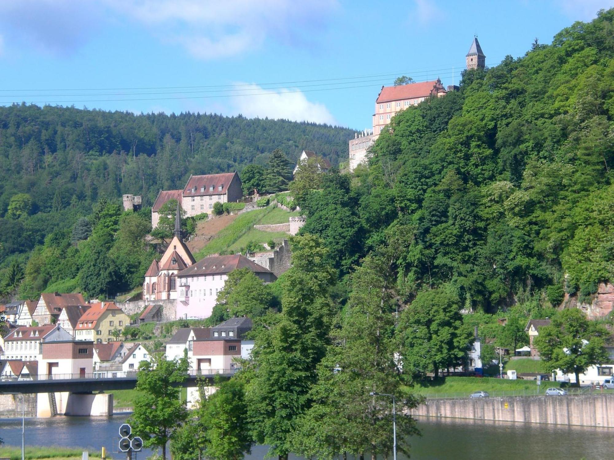 Romantisches Hirschhorn Am Neckar المظهر الخارجي الصورة
