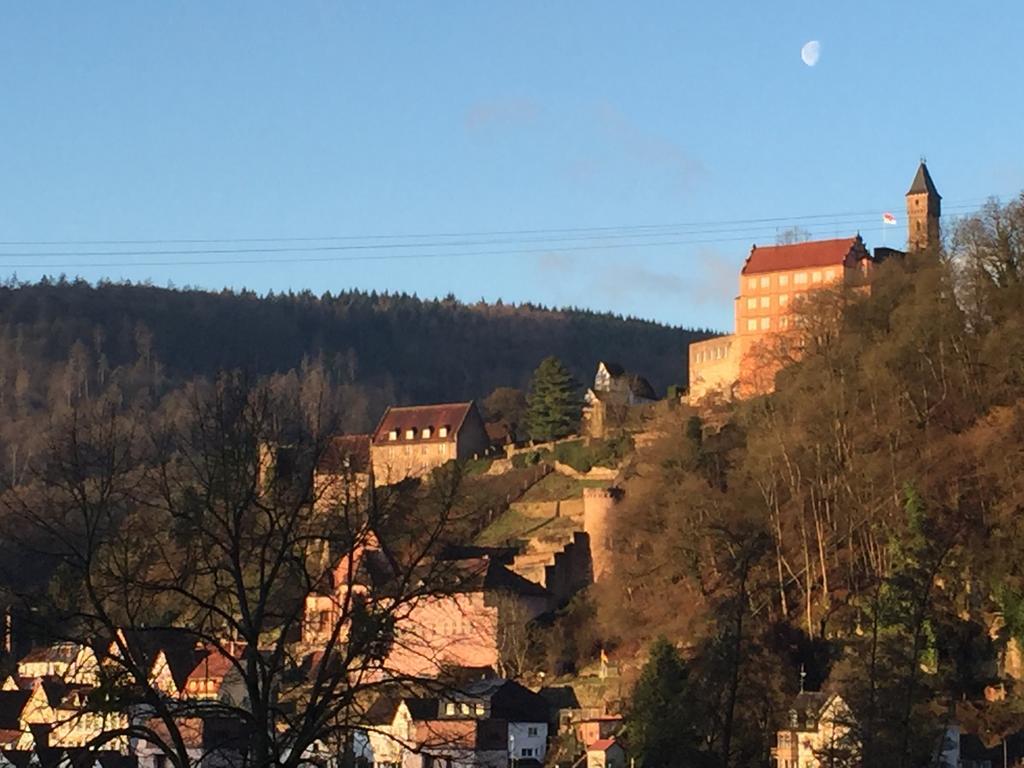 Romantisches Hirschhorn Am Neckar المظهر الخارجي الصورة